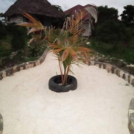 Marashi Villa Nungwi Ngoại thất bức ảnh