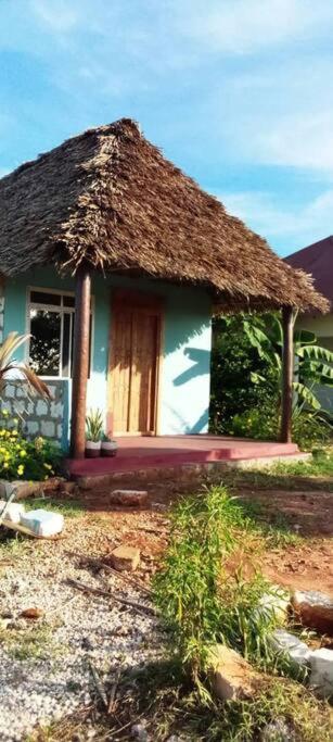 Marashi Villa Nungwi Ngoại thất bức ảnh