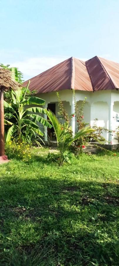 Marashi Villa Nungwi Ngoại thất bức ảnh