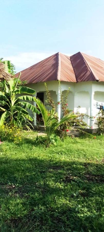 Marashi Villa Nungwi Ngoại thất bức ảnh